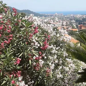 Ospitalita In Campagna Quiliano
